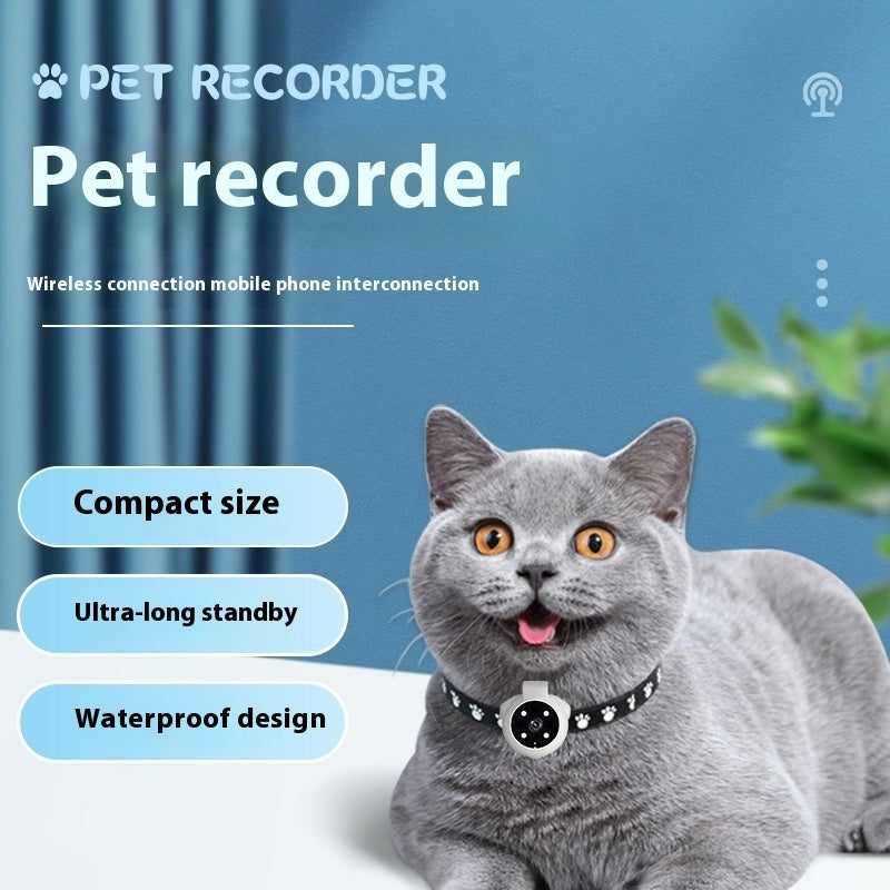 Pets Recorder Dogs And Cats Viewing