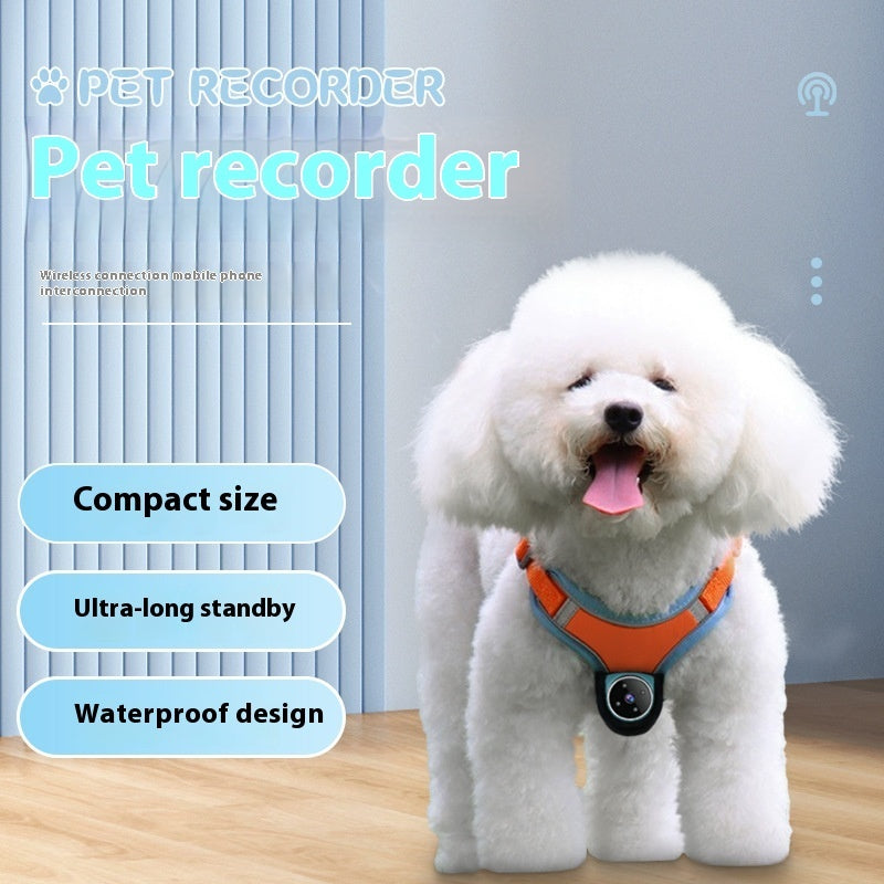 Pets Recorder Dogs And Cats Viewing